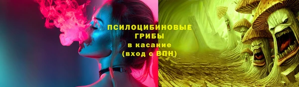 стаф Алексин