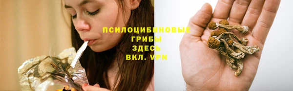 амф Алексеевка