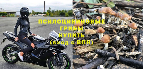 стаф Алексин