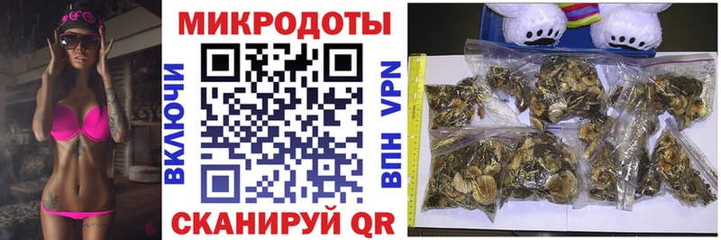 даркнет как зайти  Черепаново  Псилоцибиновые грибы Cubensis 